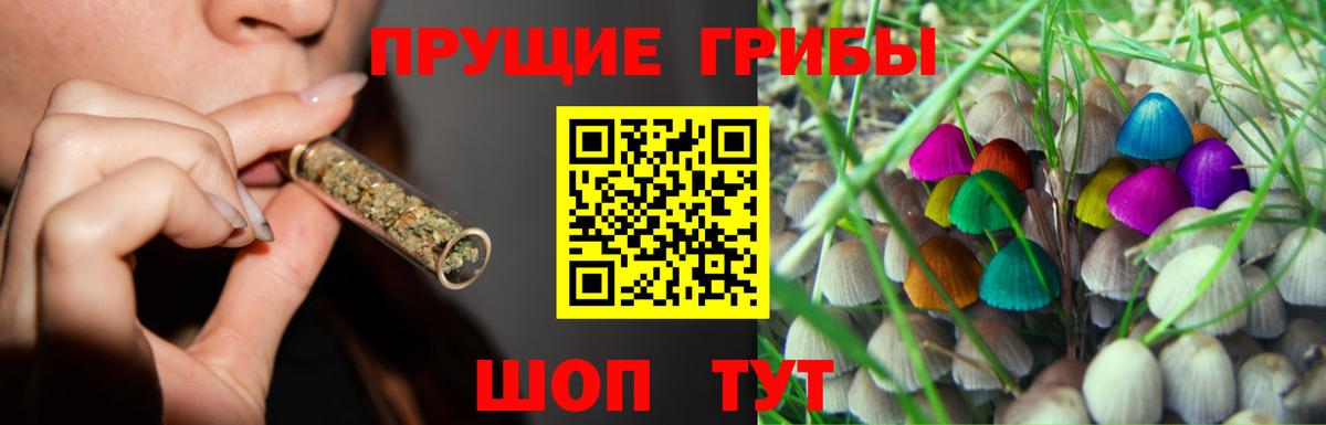 Псилоцибиновые грибы мицелий Ялуторовск